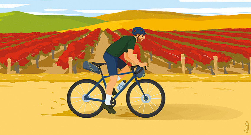 5 nuances de gravel : portraits d&rsquo;un vélo à tout faire